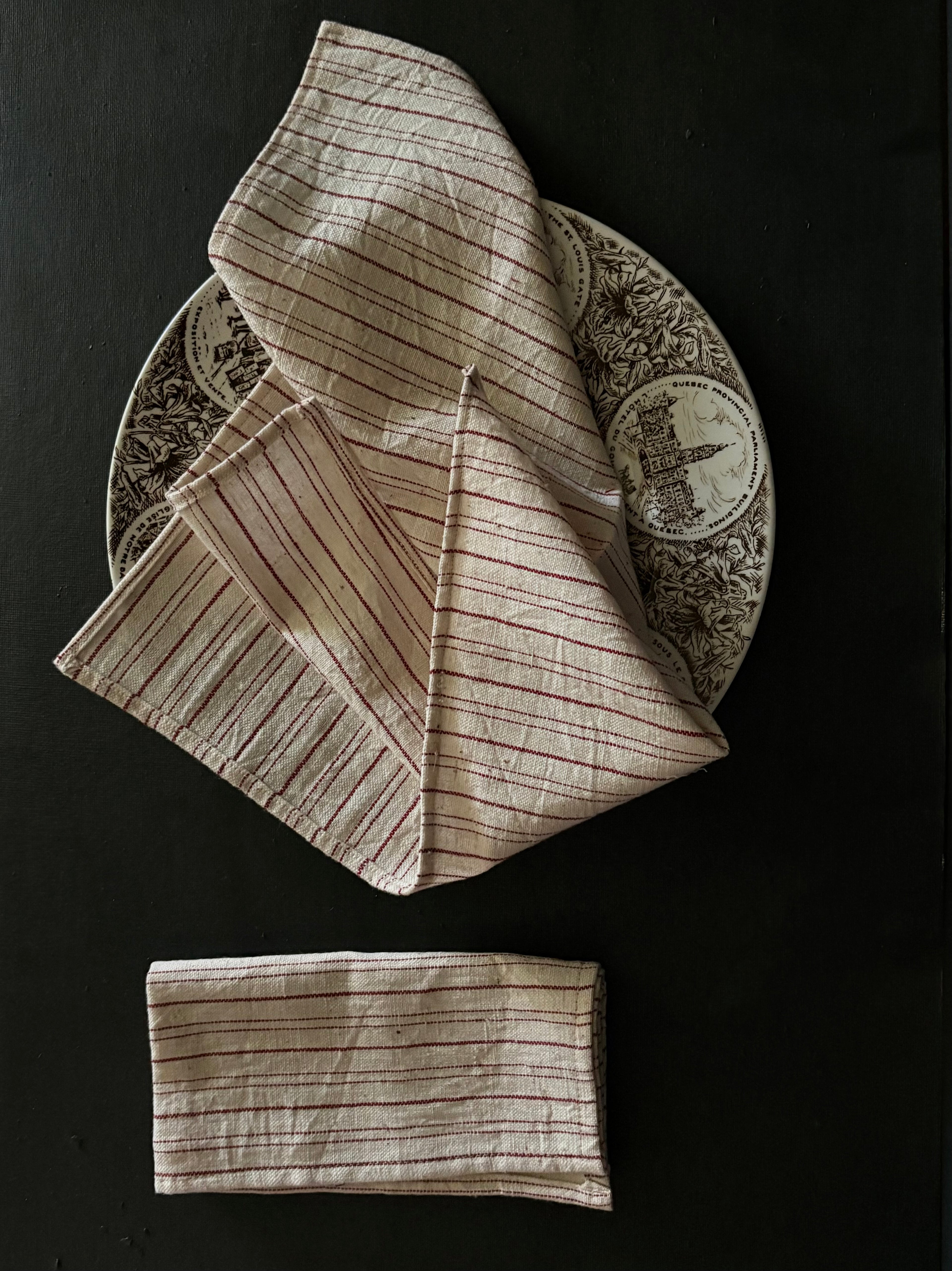 The Kala Cotton Lunch Napkin